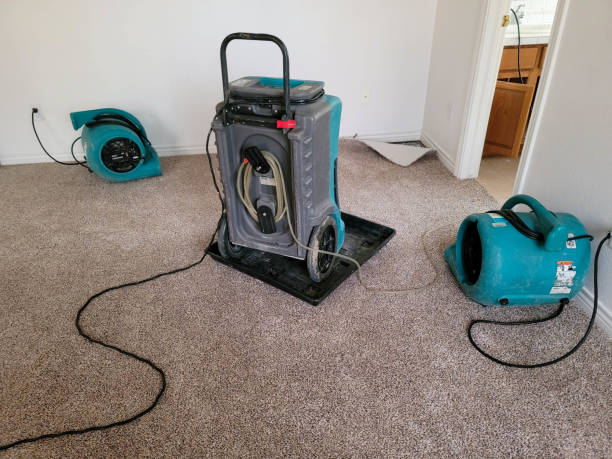 Best Water damage contractors near me  in Russellville, KY