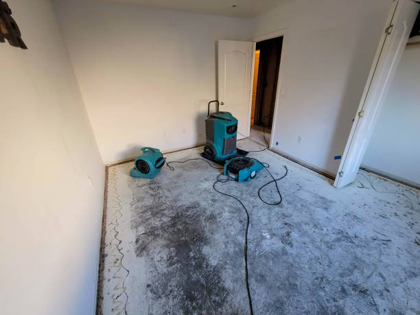 Best Local water damage restoration  in Russellville, KY
