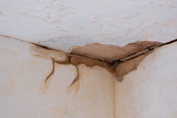Best Residential water damage restoration  in Russellville, KY