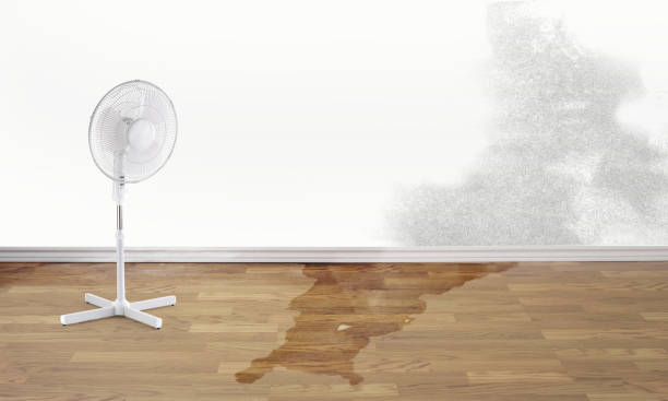 Best Sewage cleanup and water damage restoration  in Russellville, KY
