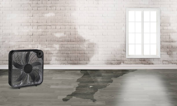  Russellville, KY Water damage restoration Pros