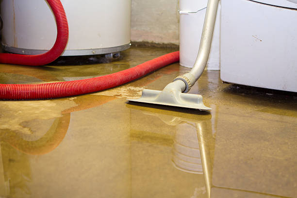 Best Water damage restoration mold remediation  in Russellville, KY