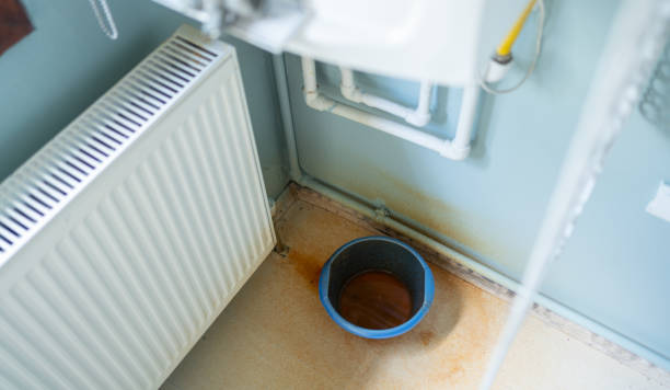 Best Local water damage restoration  in Russellville, KY
