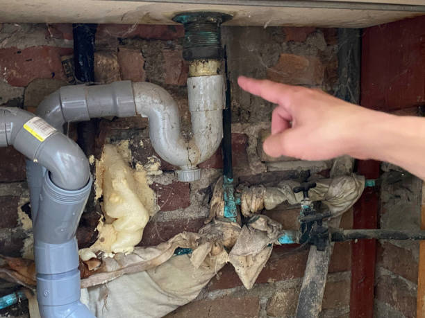 Best Flood damage cleanup  in Russellville, KY