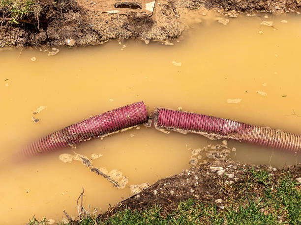 Best Flood restoration services  in Russellville, KY